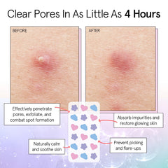 Grace & Stella tea tree oil ingredients closeup highlighting skin-supporting care