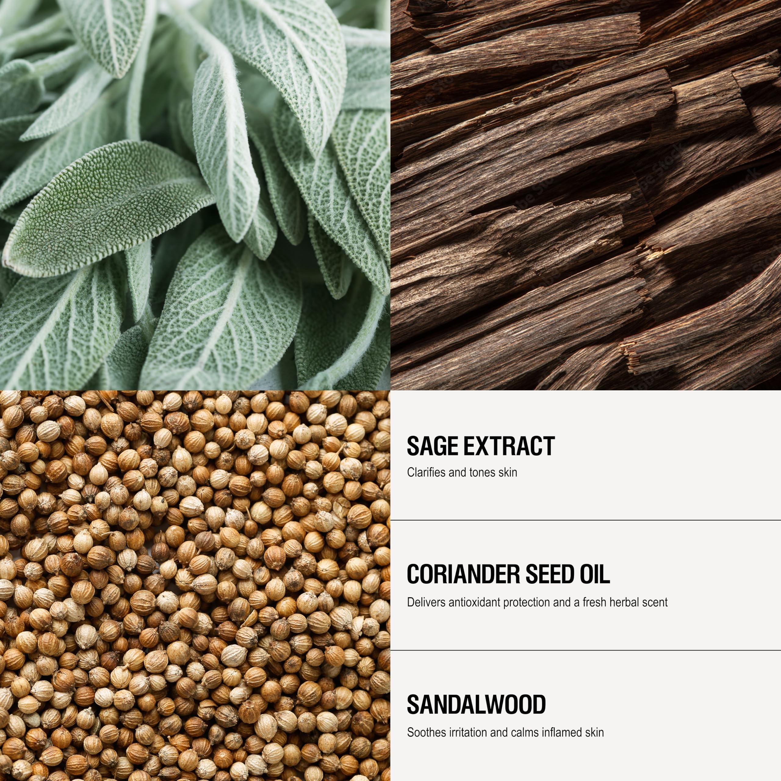 Grown Alchemist shaving gel close-up of ingredients sandalwood and sage.