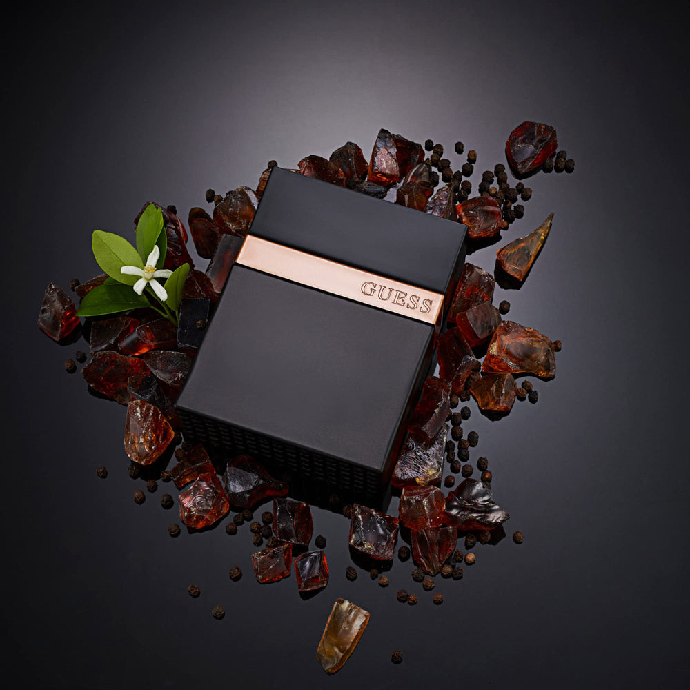 GUESS Seductive Homme Noir fragrance-notes-diagram clarifies top/mid/base distinctions.