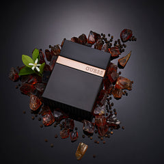 GUESS Seductive Homme Noir fragrance-notes-diagram clarifies top/mid/base distinctions.