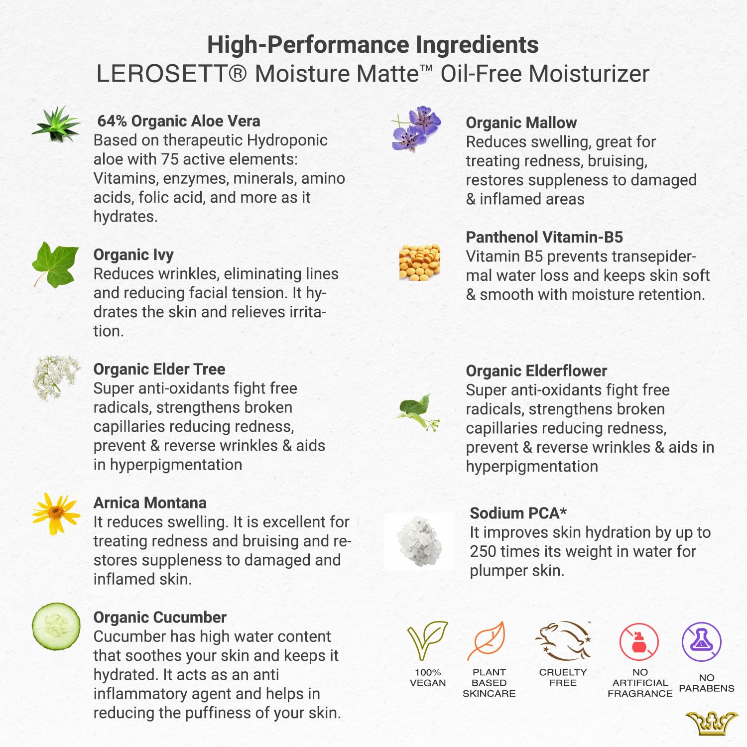 Application on face, neck, and body for all-day hydration