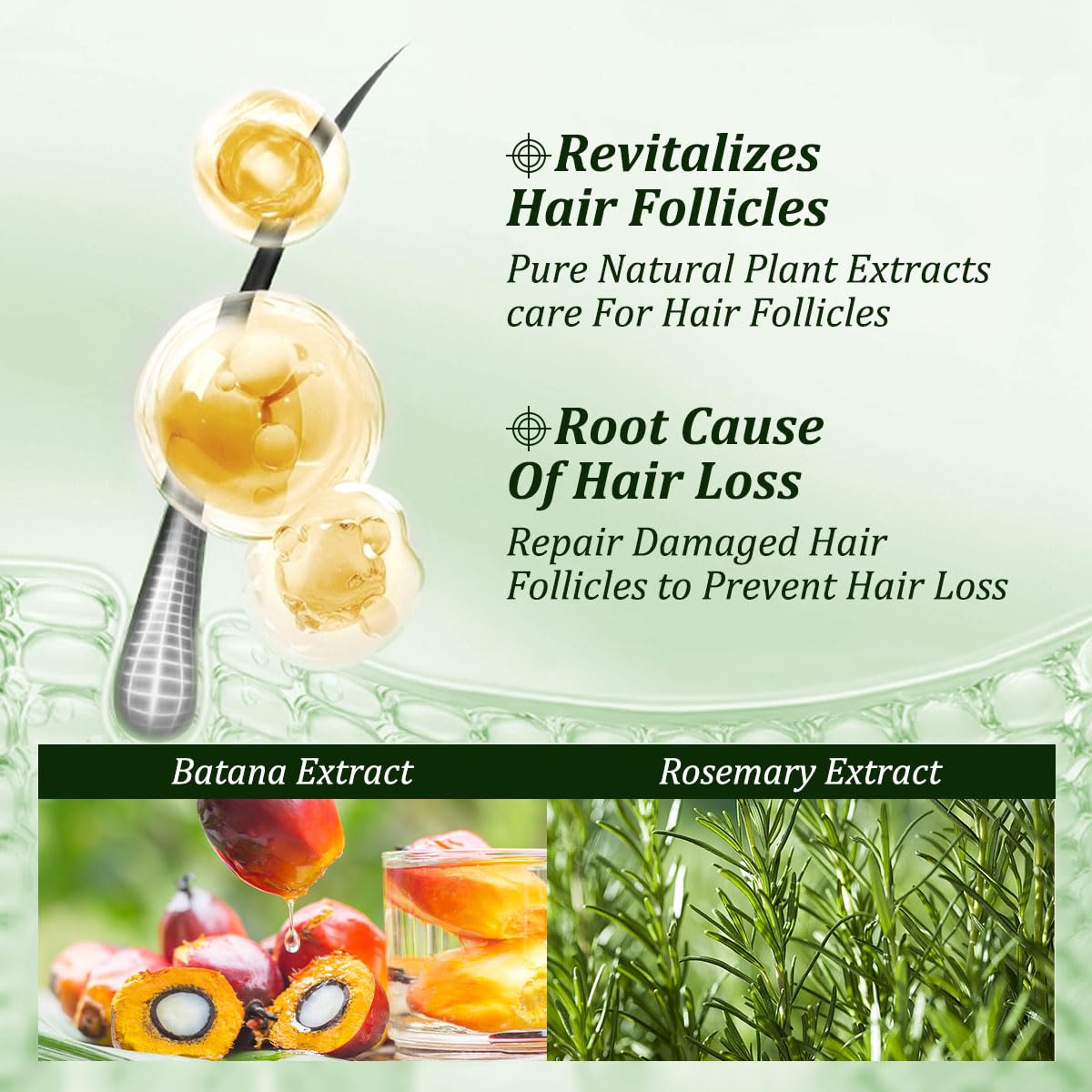 Gypsophila Batana Oil Shampoo rosemary-ingredients close-up emphasizing scalp-soothing botanicals.