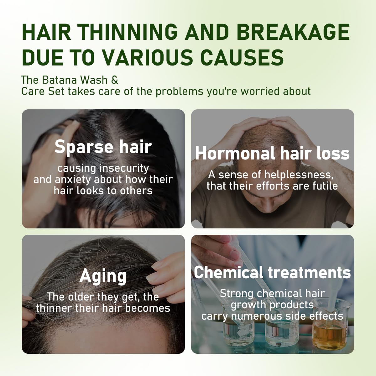 Gypsophila Batana Oil Shampoo ingredients rosemary support scalp vitality.