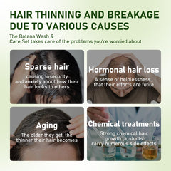 Gypsophila Batana Oil Shampoo ingredients rosemary support scalp vitality.