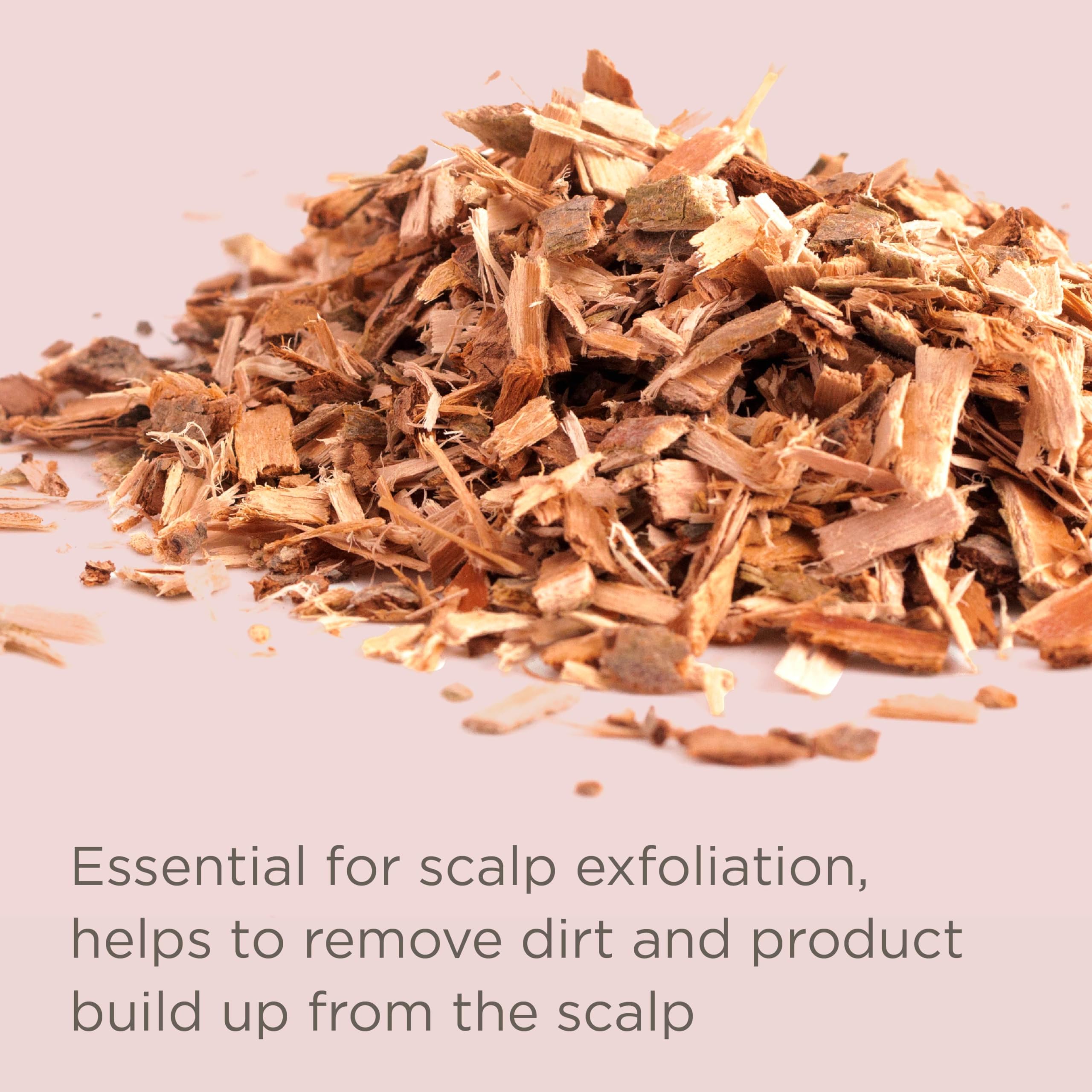 Hairitage Restart Button marigold-botanical-image conveys soothing exfoliation feel.