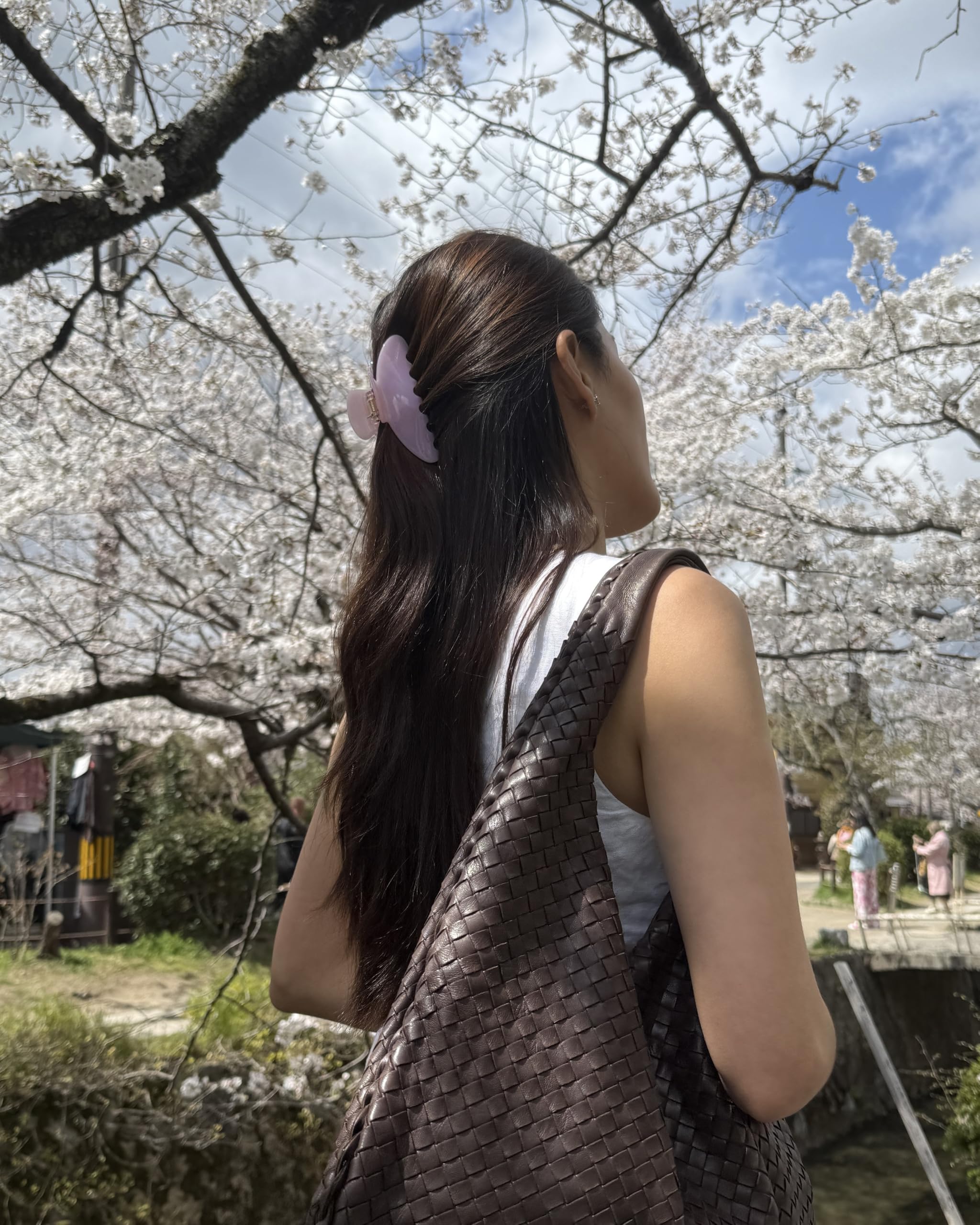 Hana Mia non-slip rose-claw clip closeup highlights secure grip on various hair types