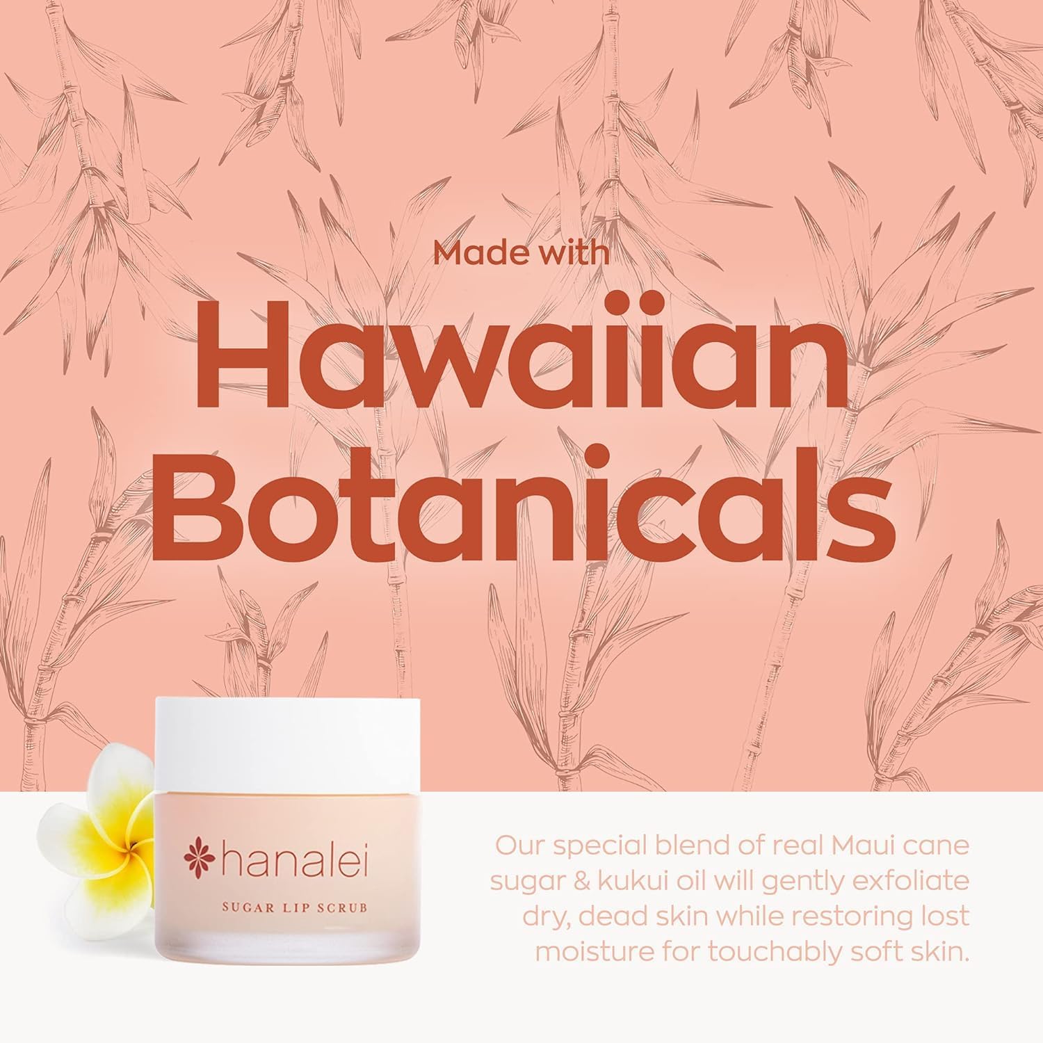Hanalei Lip Scrub jar close-up with sugar crystals for smoothing lips