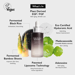 Haruharu Wonder Black Rice Ampoule bottle front showing vegan formula for gentle care