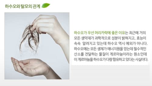 Hasuo Herbal Essential Shampoo label emphasizing herbal composition for scalp nourishment throughout routine.