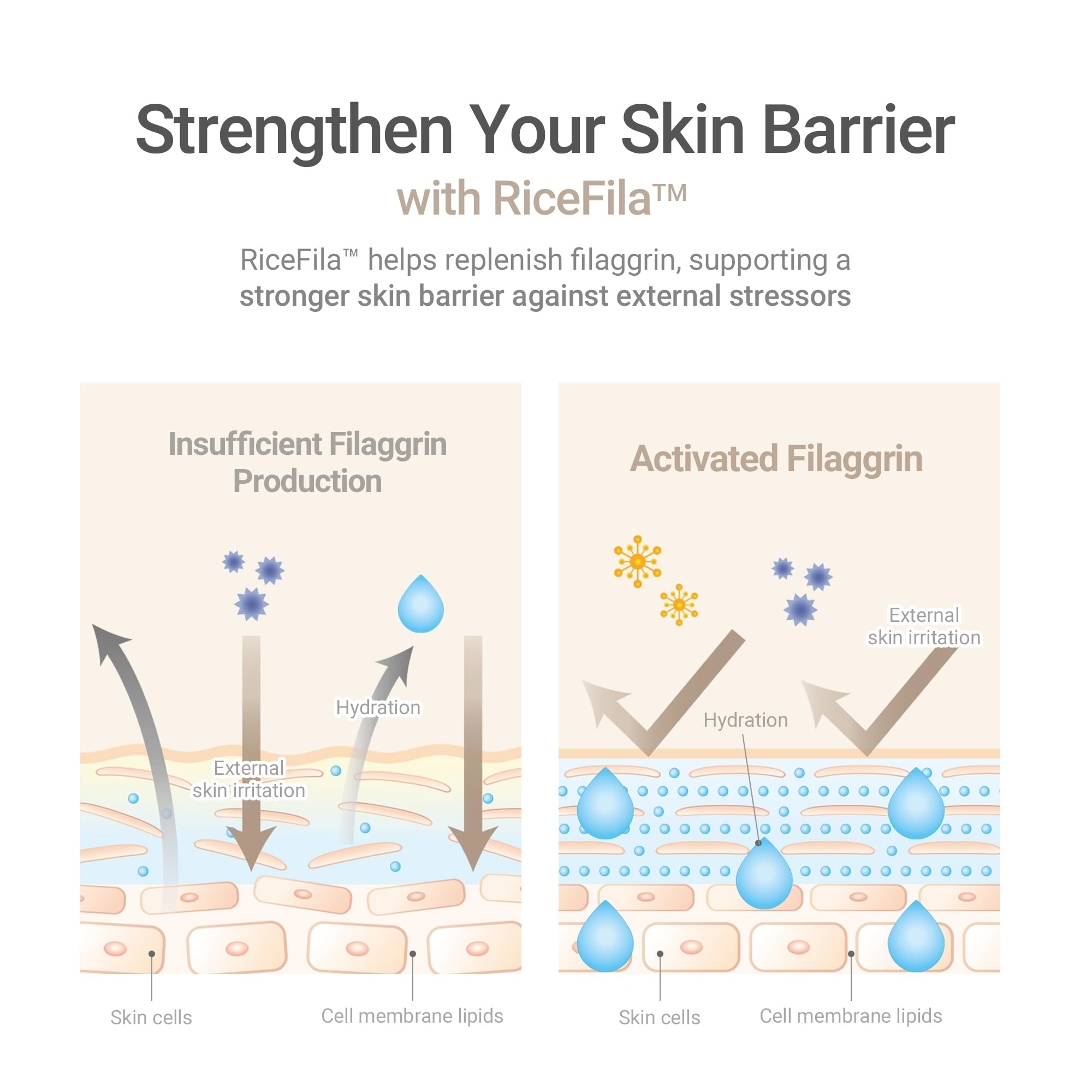 HAYEJIN RiceFila toner glass skin finish on model for luminous glow