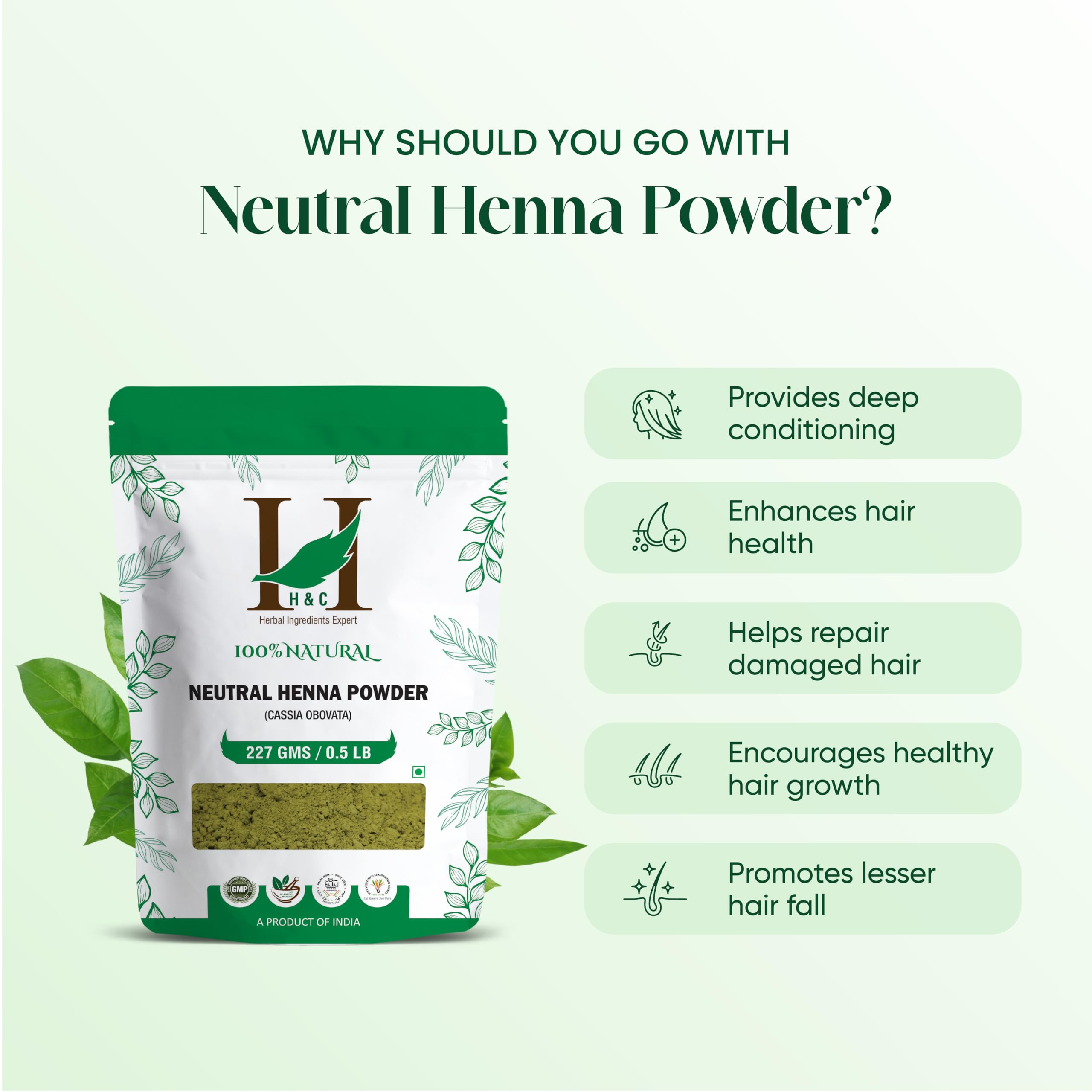 H&C cassia obovata powder scoop for easy portioning