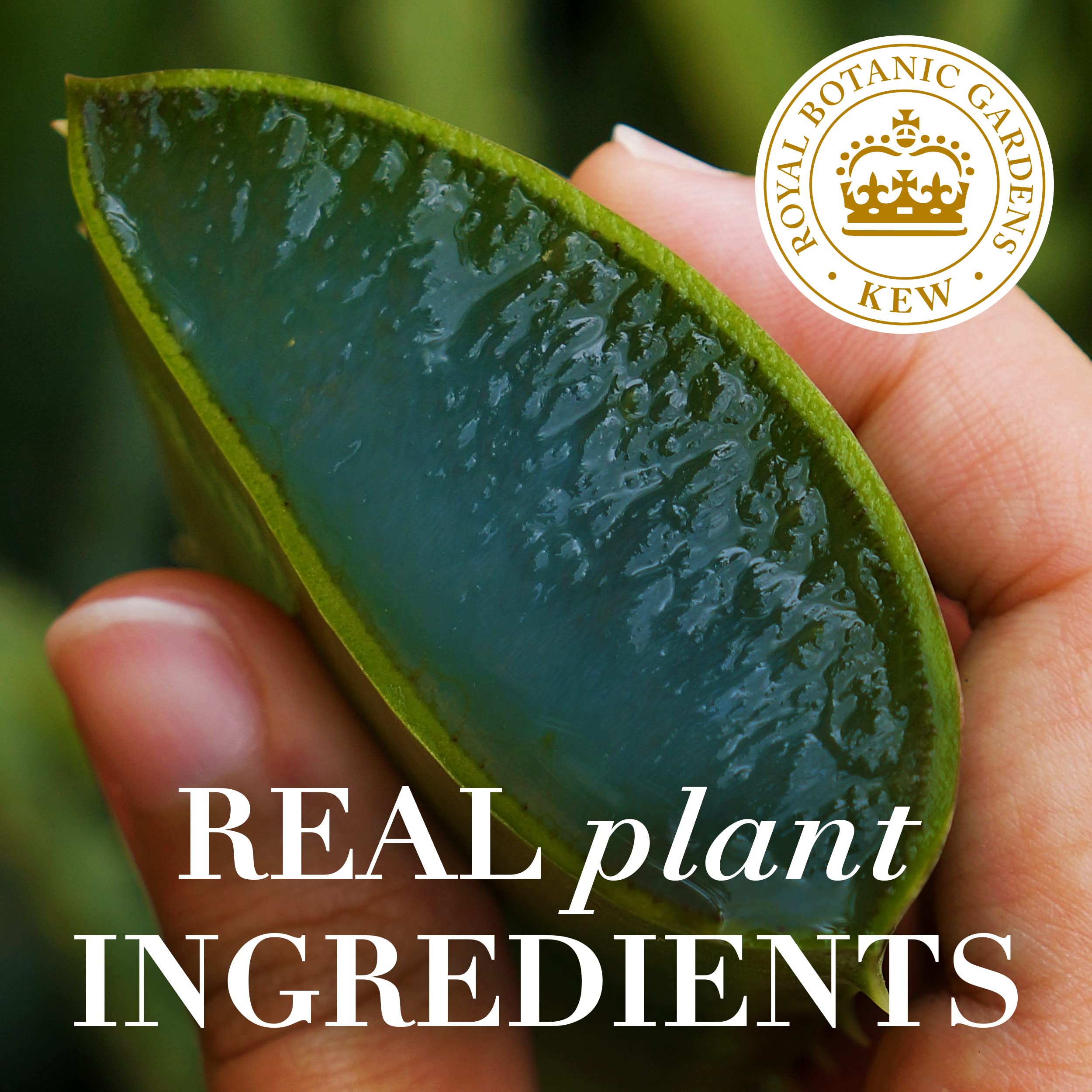 Herbal Essences bio:renew ph balanced color-safe label graphic on the tub.
