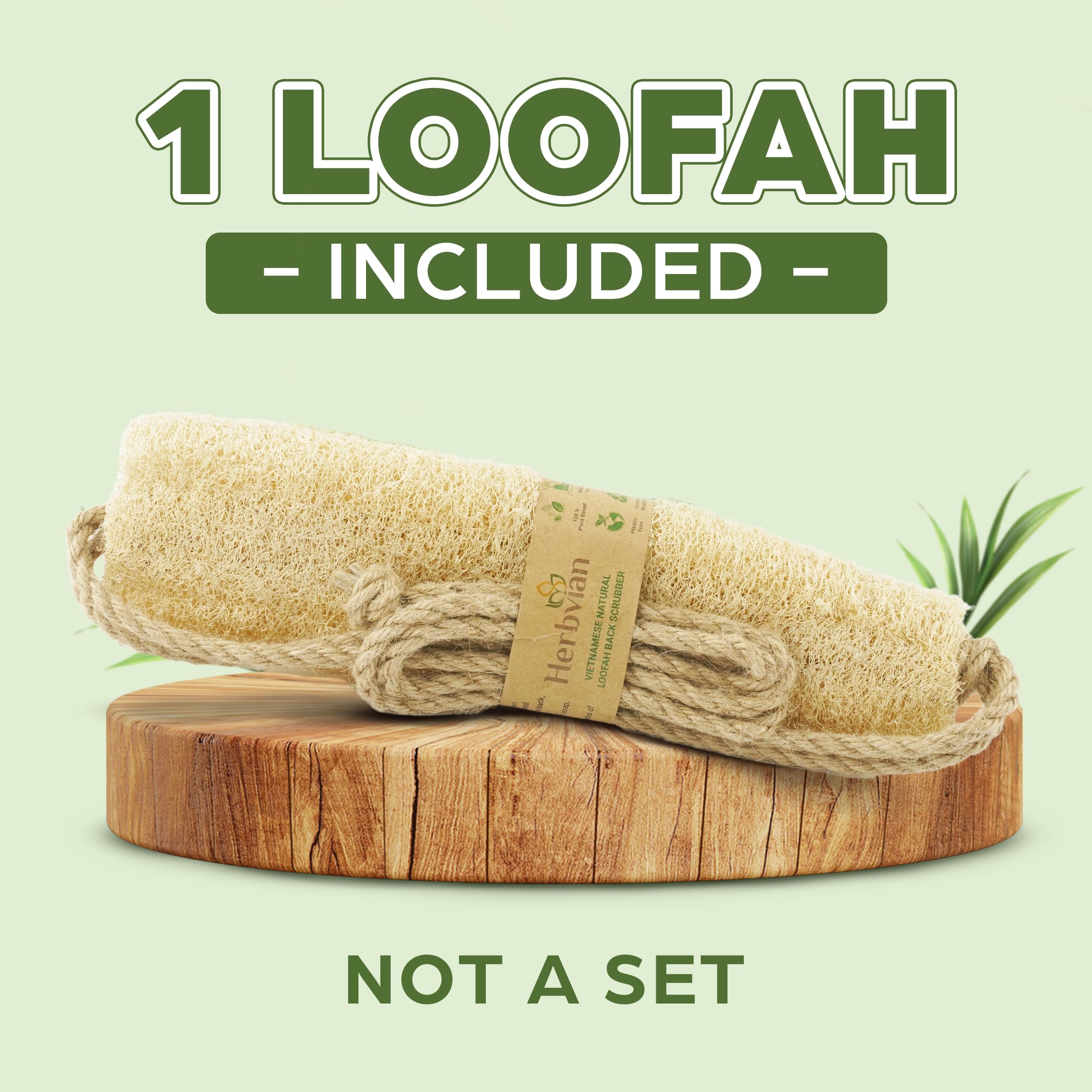Herbvian whole-loofah gourd sponge for natural exfoliation