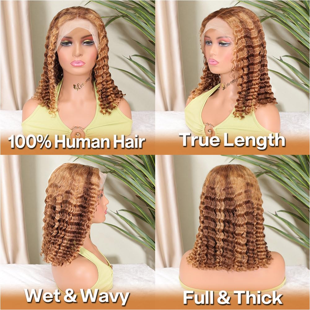 HIRIREMY Ombre honey blonde 4/27 highlights with sun-kissed dimension
