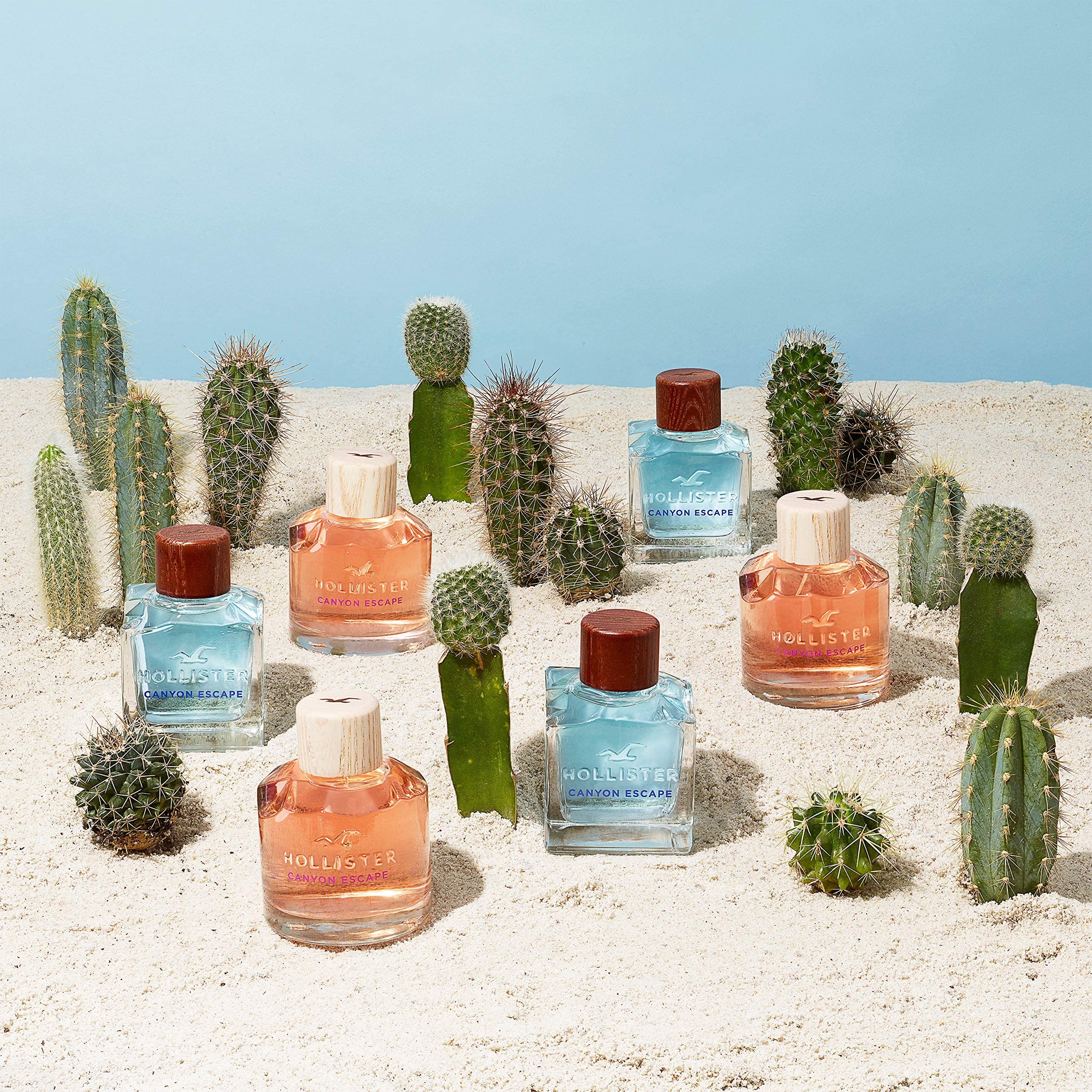 Hollister Canyon Escape packaging display emphasizes strong shelf presence.