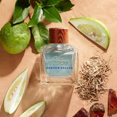 Hollister Canyon Escape woody-spice scene demonstrates day-long projection and versatility.