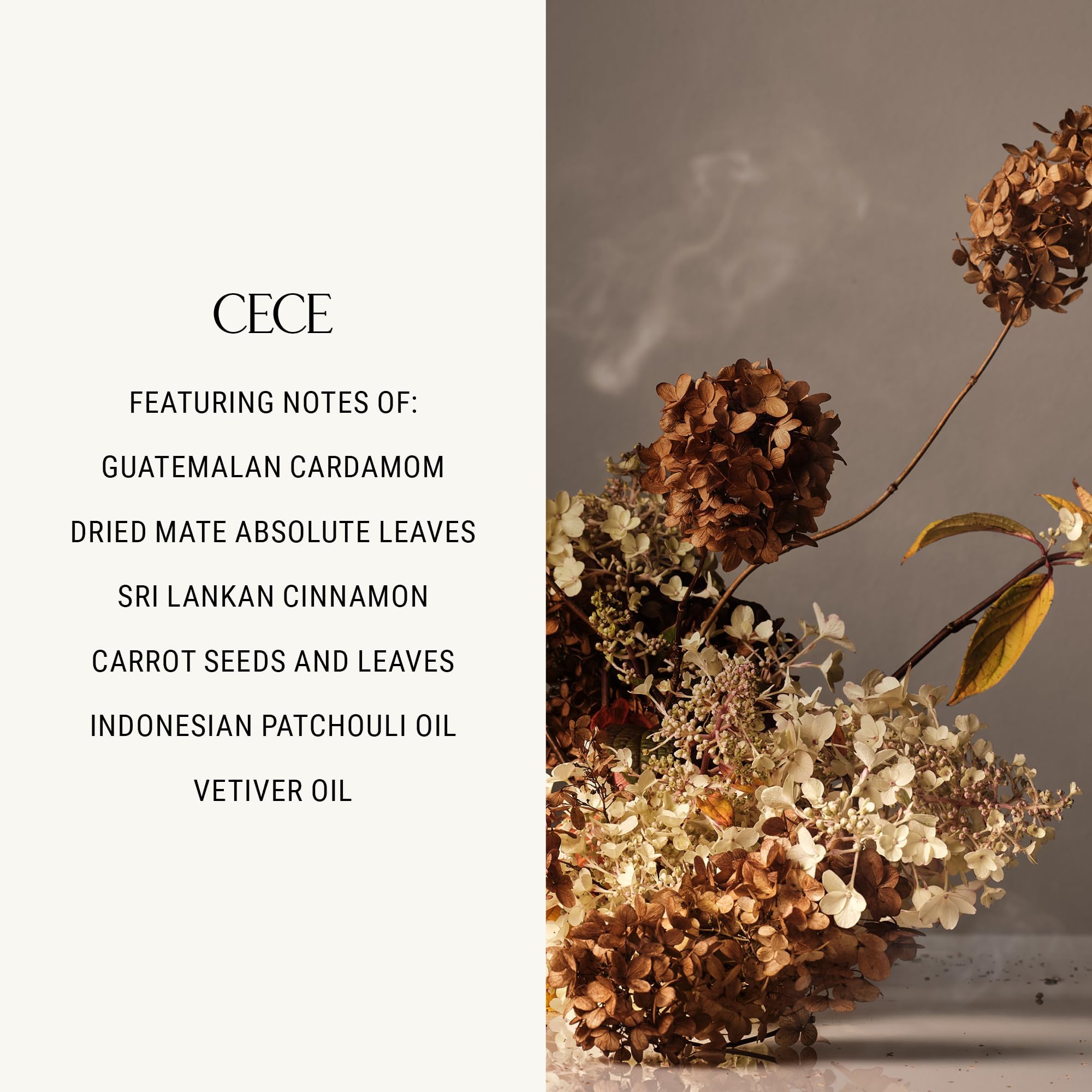 Homecourt Cece 2.0 hand wash scent notes evoke grounding ritual.