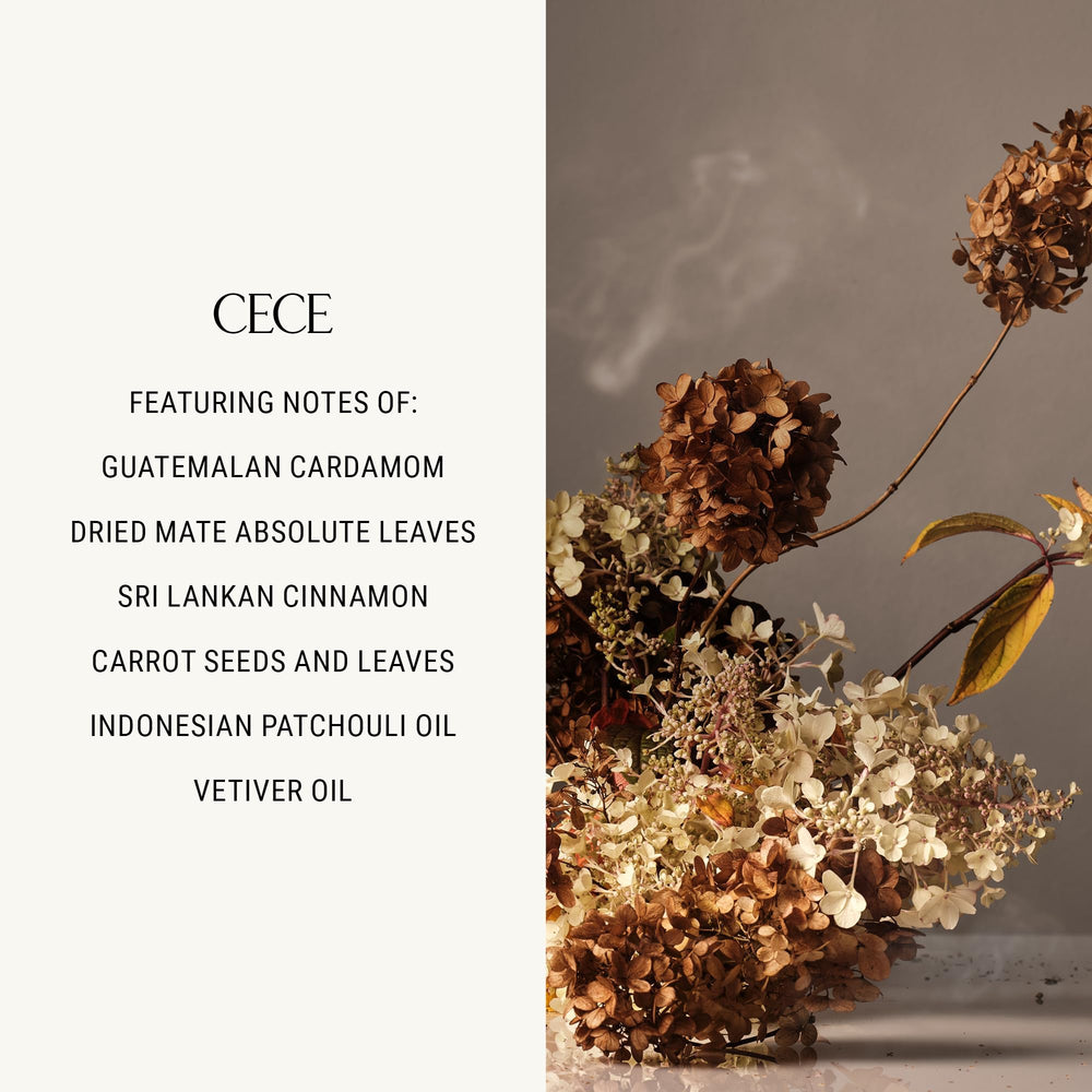 Homecourt Cece 2.0 hand wash scent notes evoke grounding ritual.