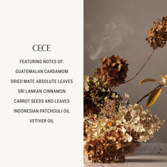 Homecourt Cece 2.0 hand wash scent notes evoke grounding ritual.