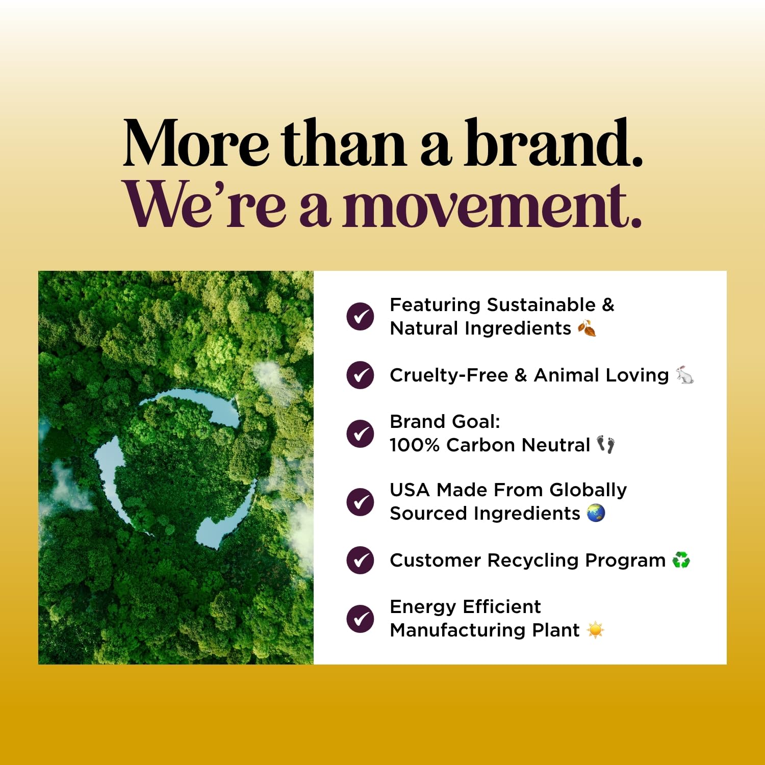 Honeydew Lemon Sage Shampoo after-wash hair image suggests clean feel.
