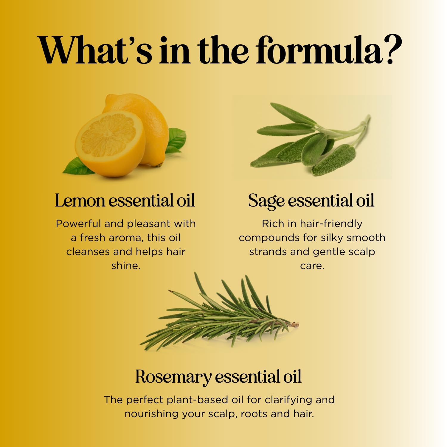 Honeydew Lemon Sage Shampoo rosemary oil image emphasizes shine and balance.
