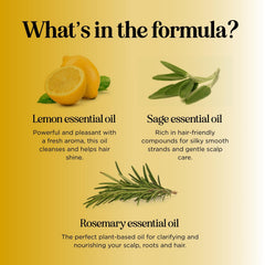 Honeydew Lemon Sage Shampoo rosemary oil image emphasizes shine and balance.