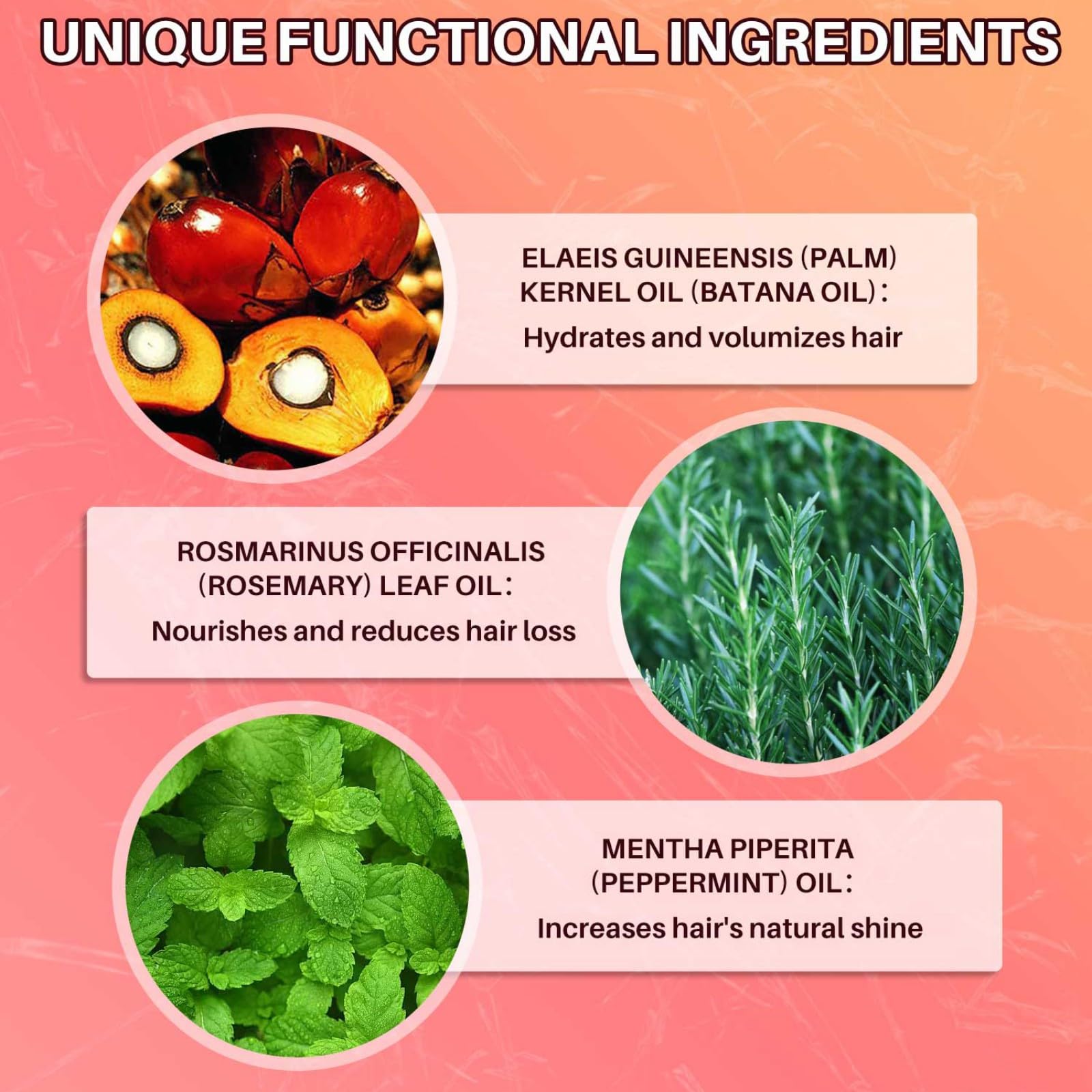 Hotiary Batana Oil Hair Growth benefits visual emphasizing potential thicker, healthier-looking hair.