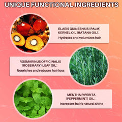 Hotiary Batana Oil Hair Growth benefits visual emphasizing potential thicker, healthier-looking hair.