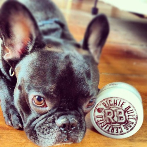 Hustle Butter Deluxe vegan ingredients (shea, coconut) in action for cruelty-free tattoo care.