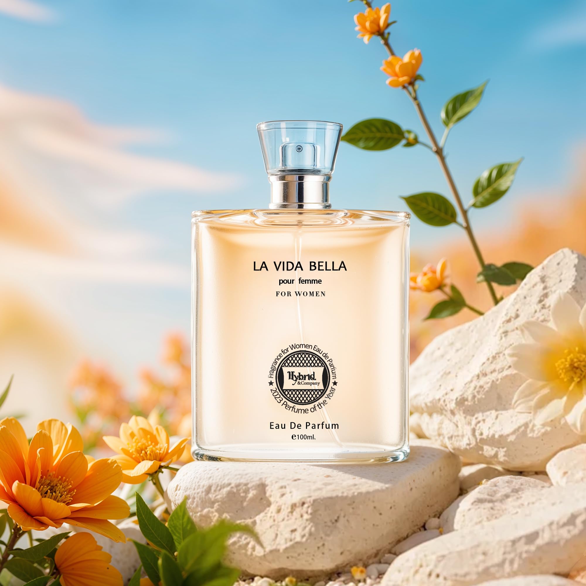 Hybrid & Company La Vida Bella outer box highlighting premium branding and unboxing anticipation.
