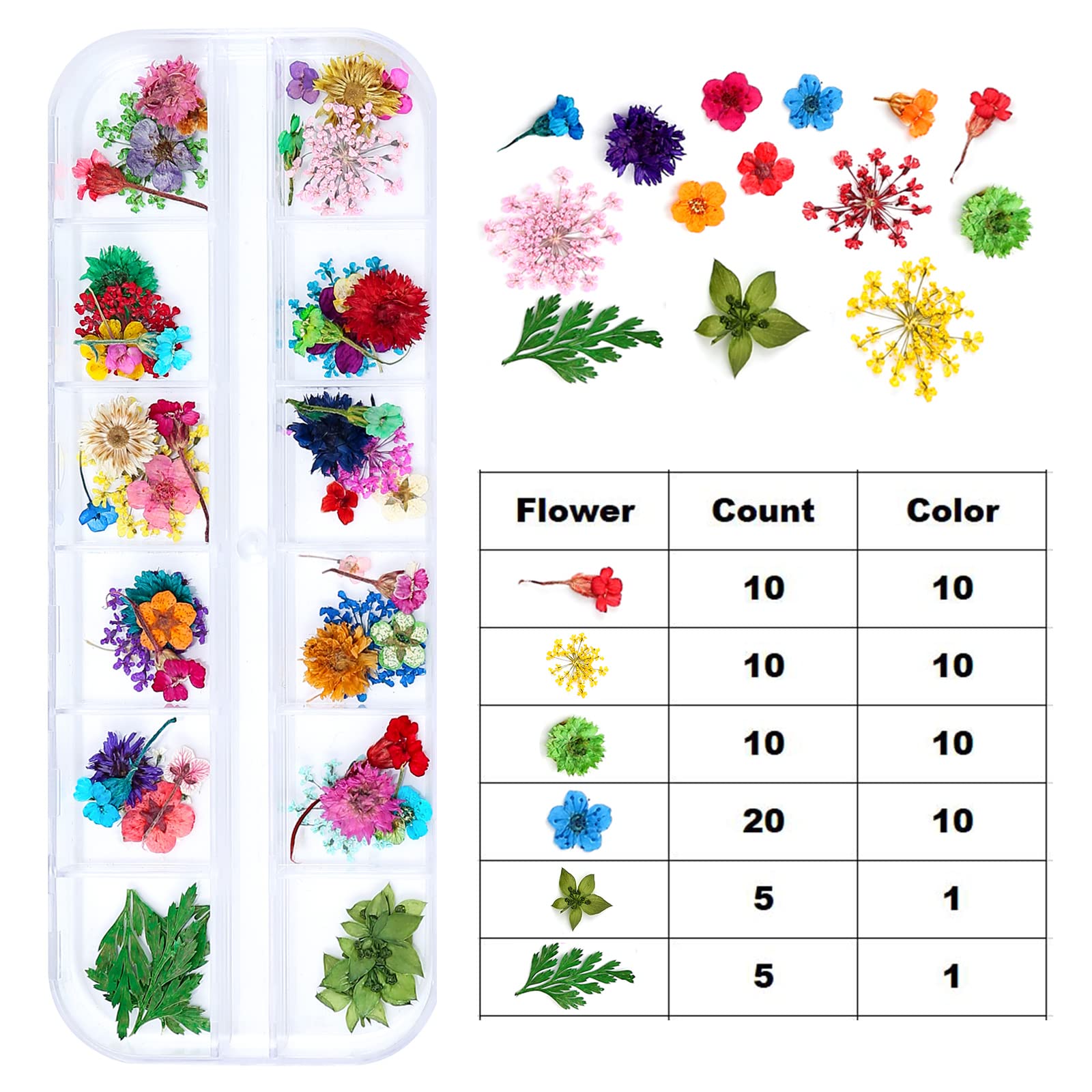 iFancer hand-picked petals highlight premium quality for resin jewelry and nail art