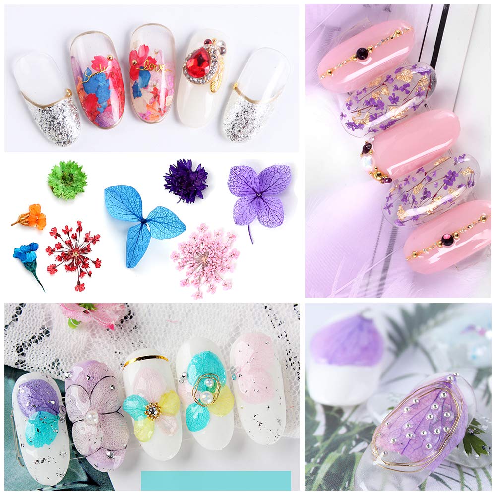 iFancer 62-color palette dried flowers for nails, vibrant options for unique designs.