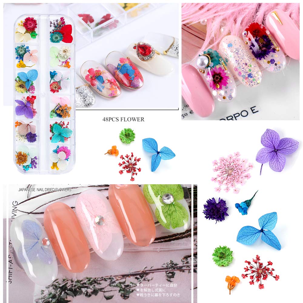 iFancer dried flowers for nails resin use, perfect for tiny inlaid petal accents on nails.