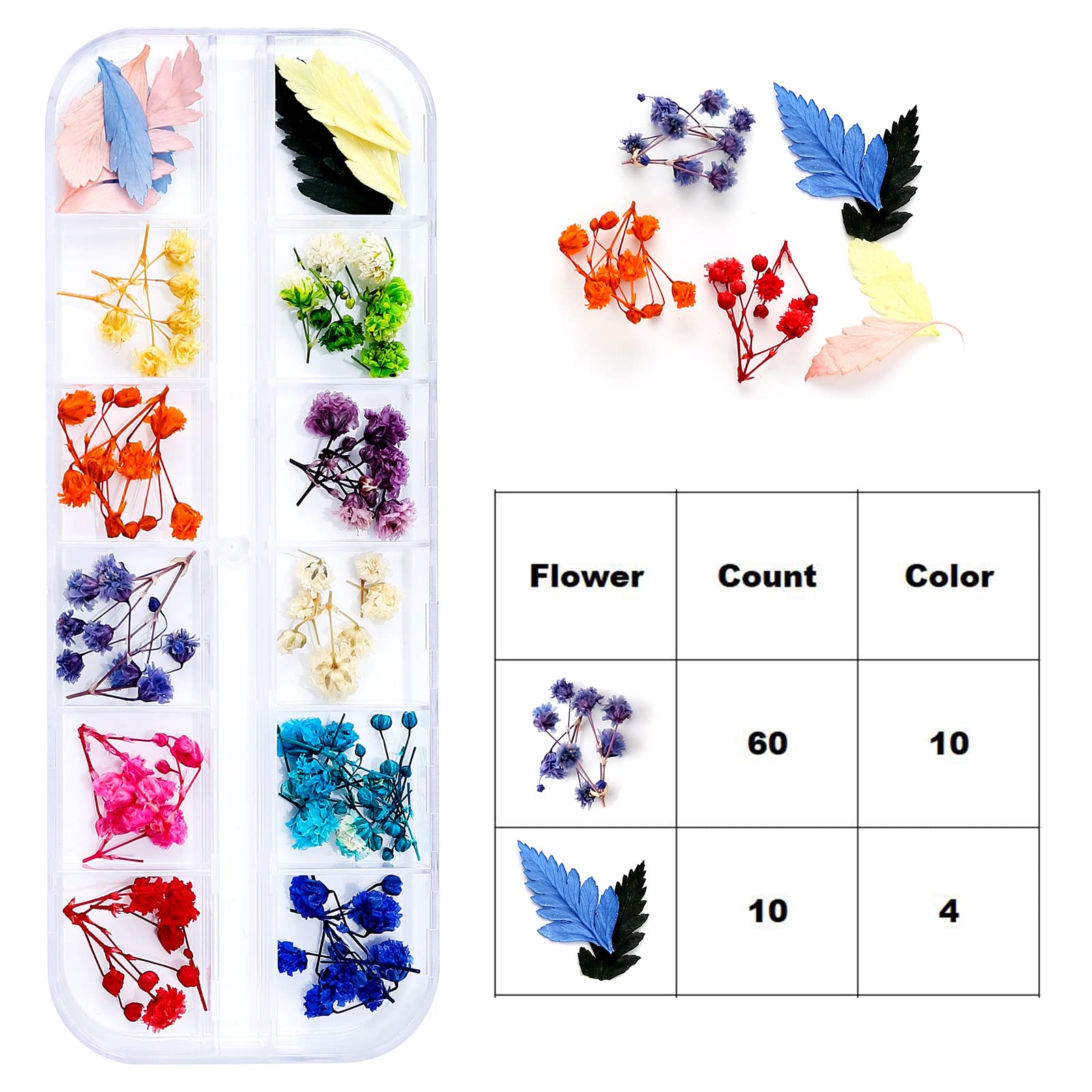 iFancer natural dried flowers maintain intact petals for vivid resin projects