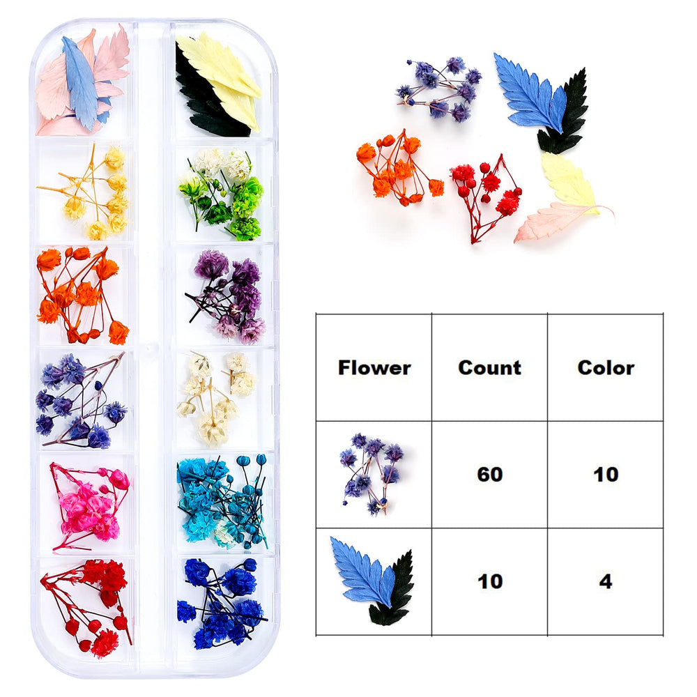 iFancer natural dried flowers maintain intact petals for vivid resin projects