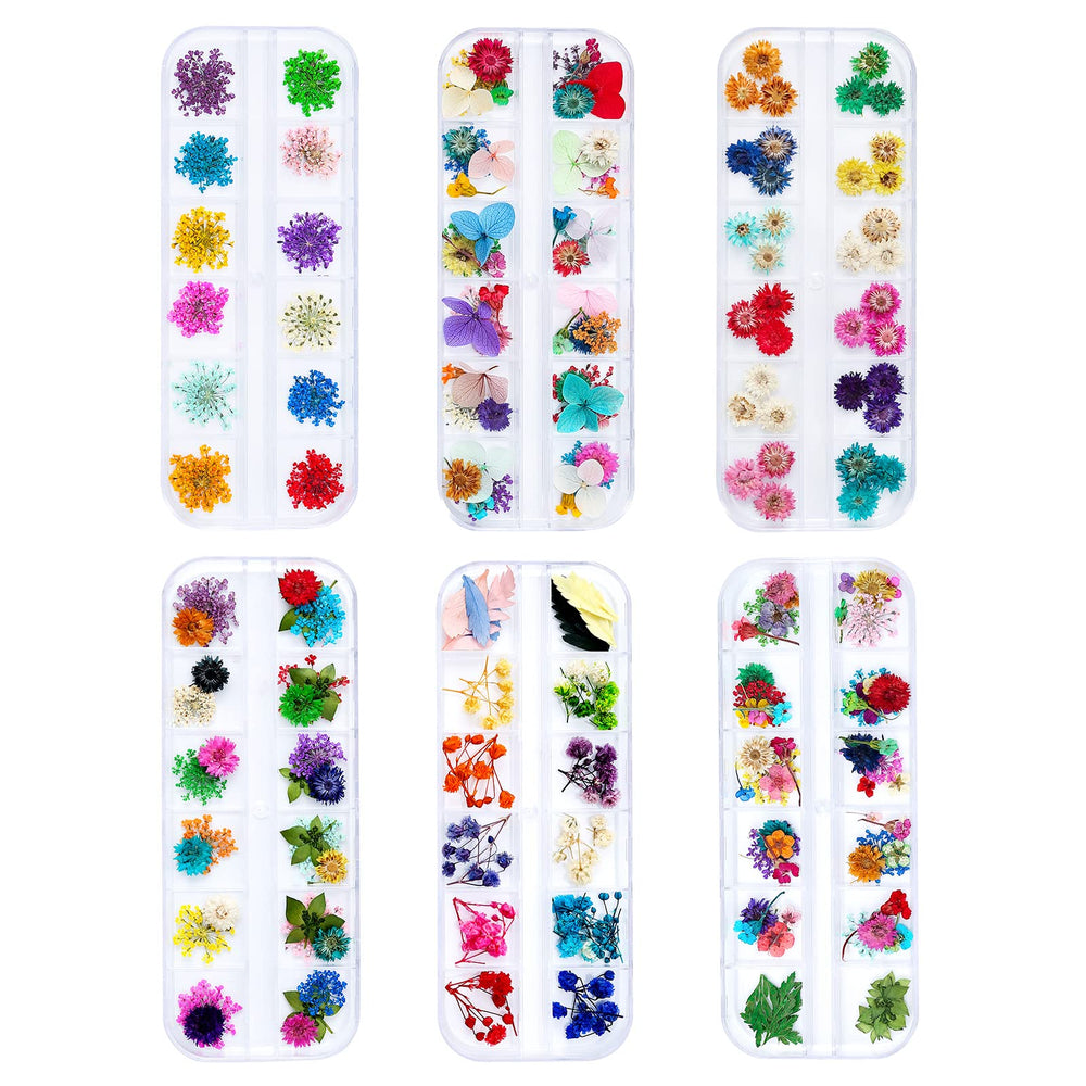 iFancer dried flowers for resin nail art pack displays vibrant colors for creative projects