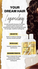 IGK Legendary Dream Hair Shampoo red sea algae image emphasizes hydration and shine.
