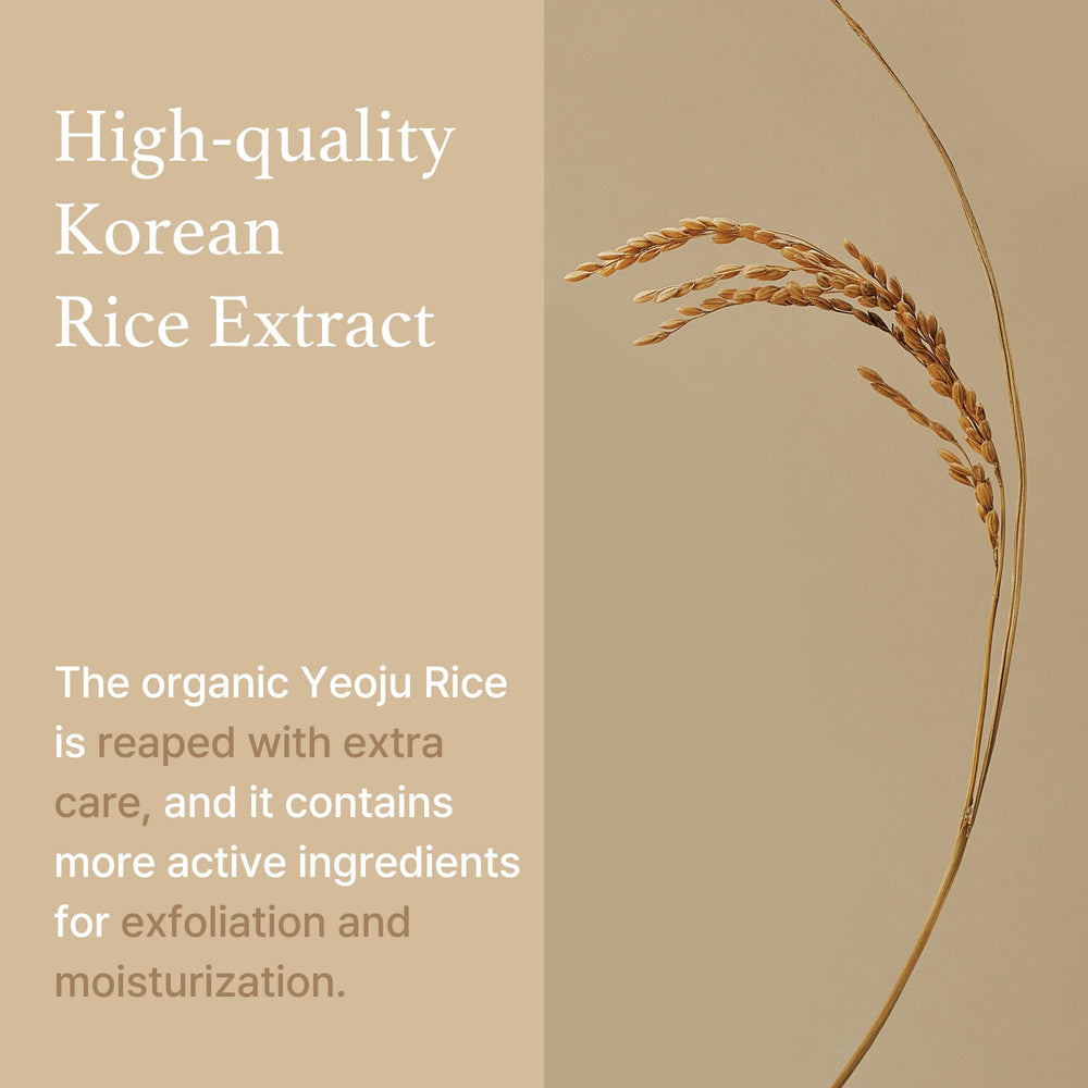 I'm from Rice Sheet Mask Pack of 5 sheets laid out, ready for a daily hydration ritual.