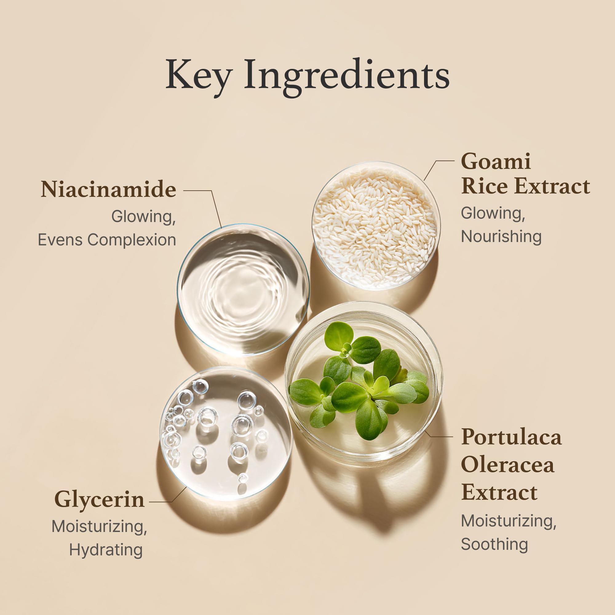 I'm from Rice Toner applied with cotton pad for even-toned skin prep