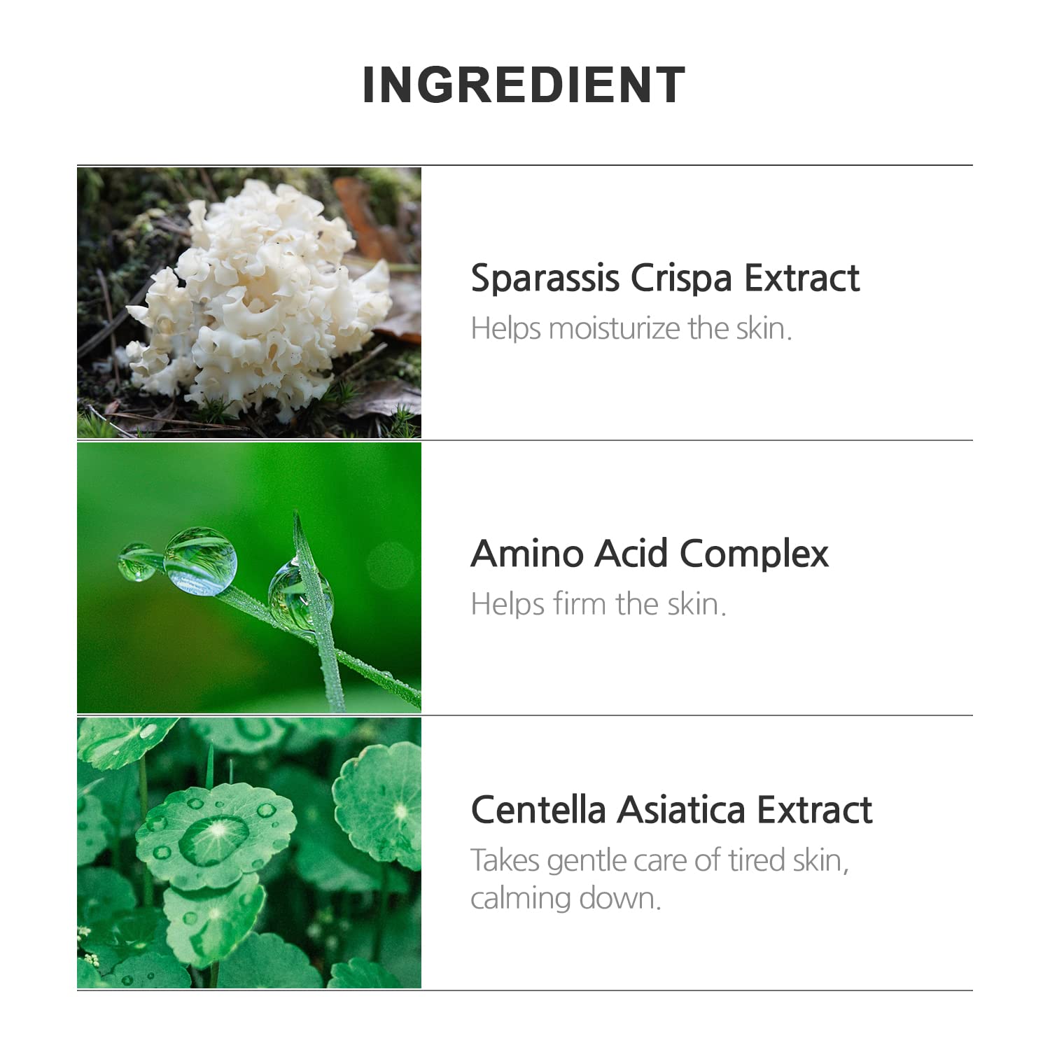 INCELLDERM Riman ingredients collage emphasizes botanical extracts and nourishment