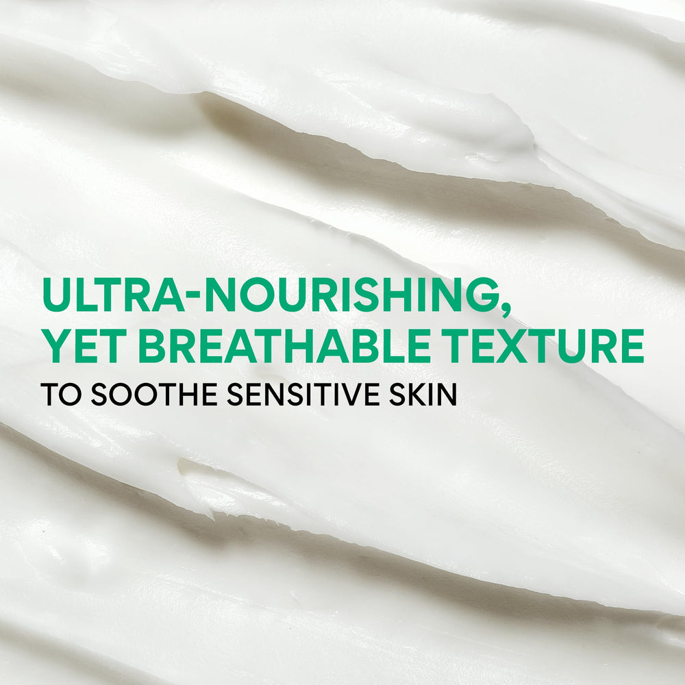 innisfree Green Tea Ceramide Cream sample beside oatmeal illustrates soothing care for sensitive skin