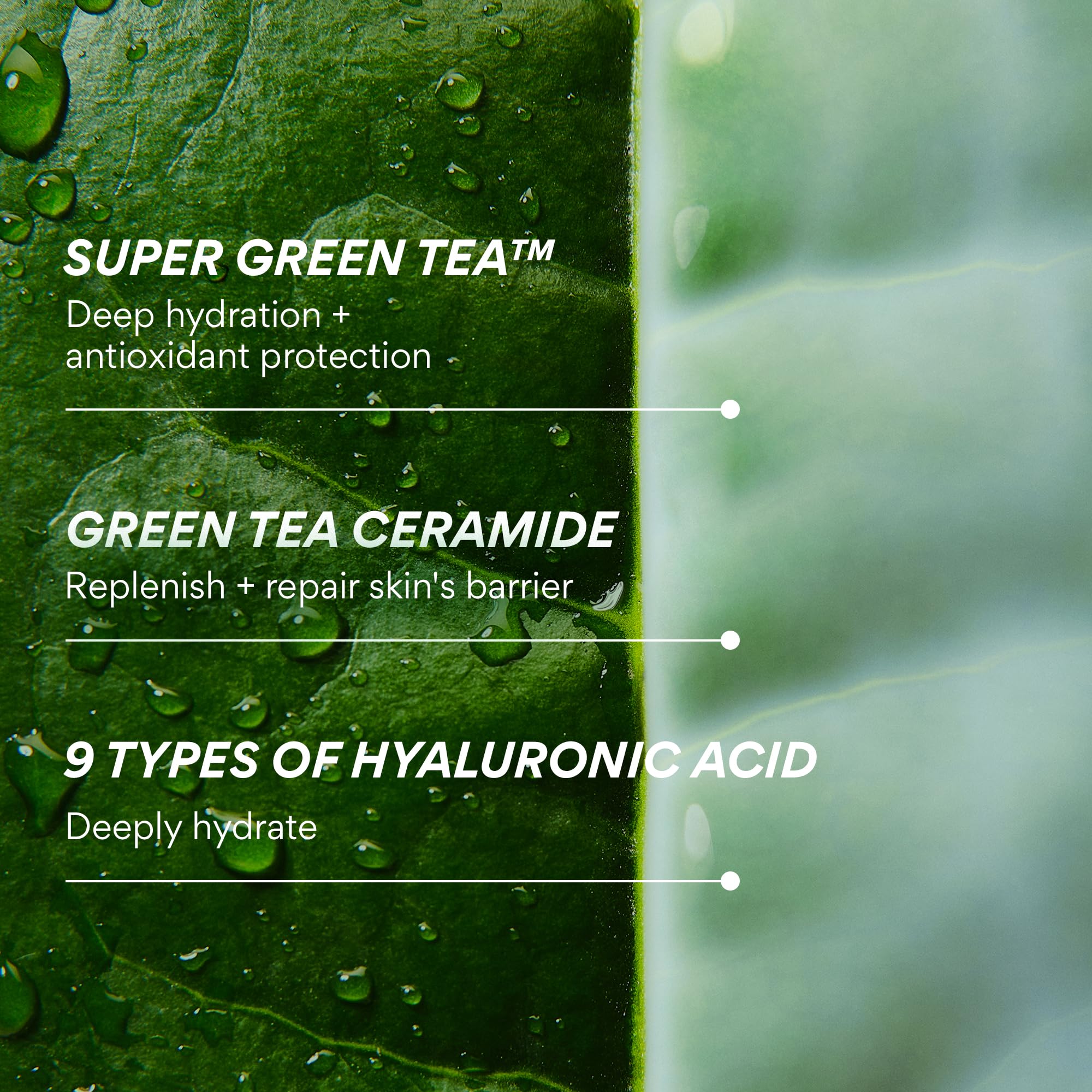 innisfree Green Tea Ceramide Milk Refill suitable for sensitive skin and acne-prone complexions.