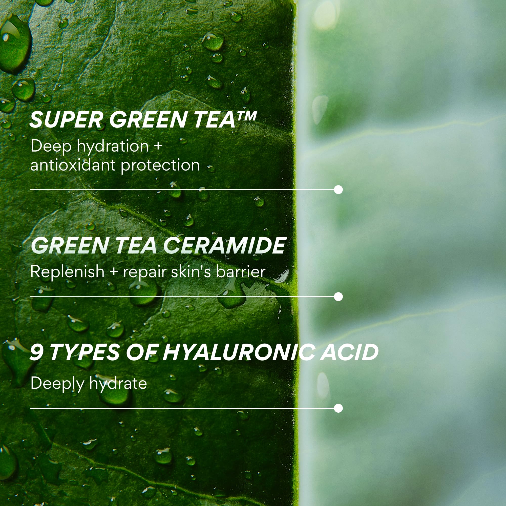 Dermatologist-tested label on Innisfree Green Tea Ceramide Milk packaging.