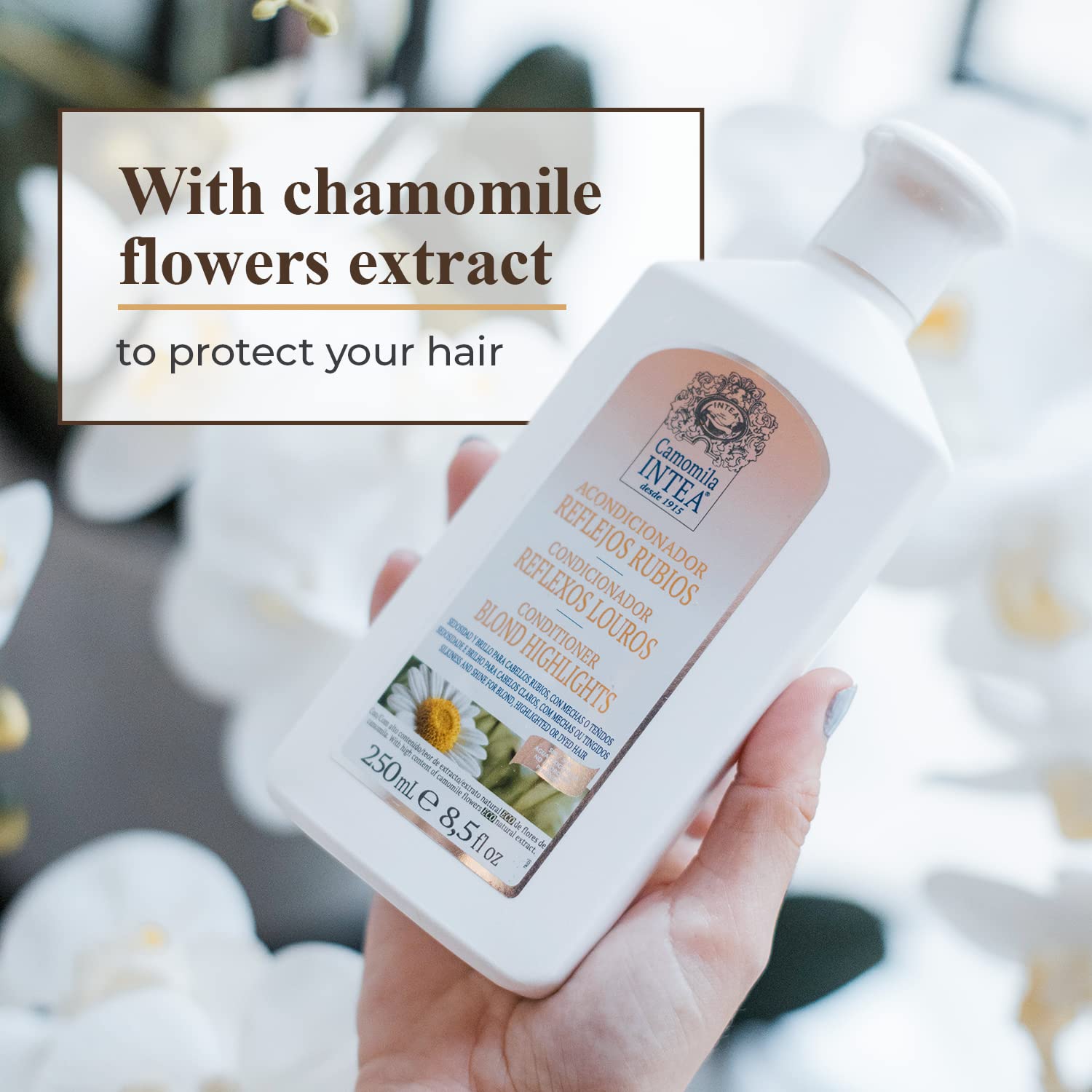 Intea chamomile flowers beside conditioner highlighting natural extract