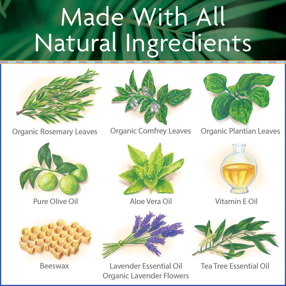 Isla nd Soap & Candle Works Surfer's Salve plantain-leaf ingredients soothe wind-exposed skin
