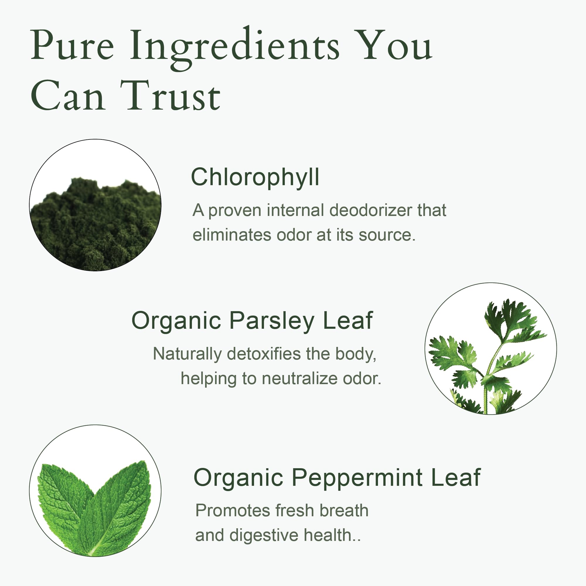 It Just Works daily-use packaging shown for consistent freshness.
