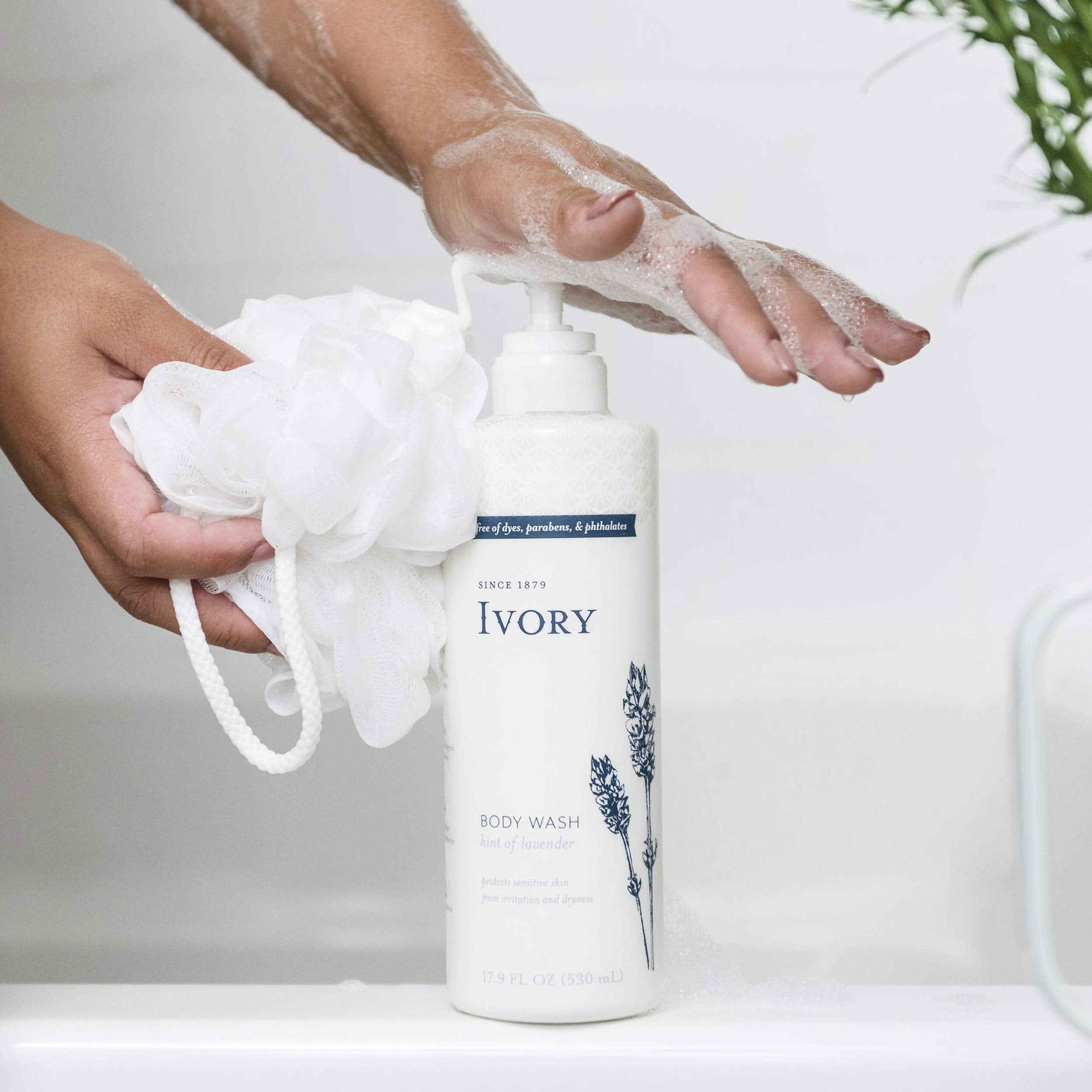 Ivory free-dyes label emphasizes clean ingredients and dermatologist-recommended moisture