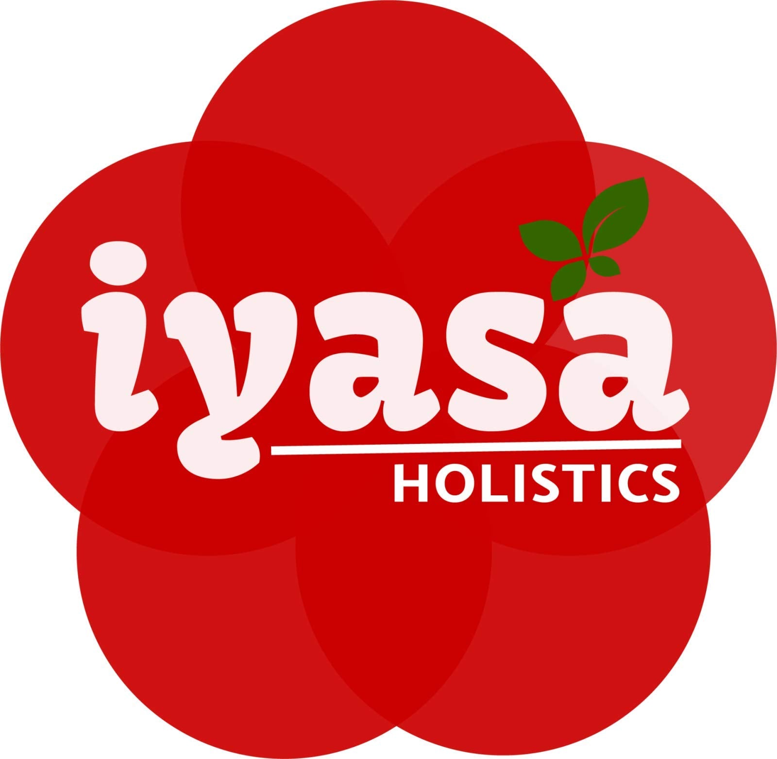 Iyasa Holistics Aloe Vera Leaf Powder as face mask.