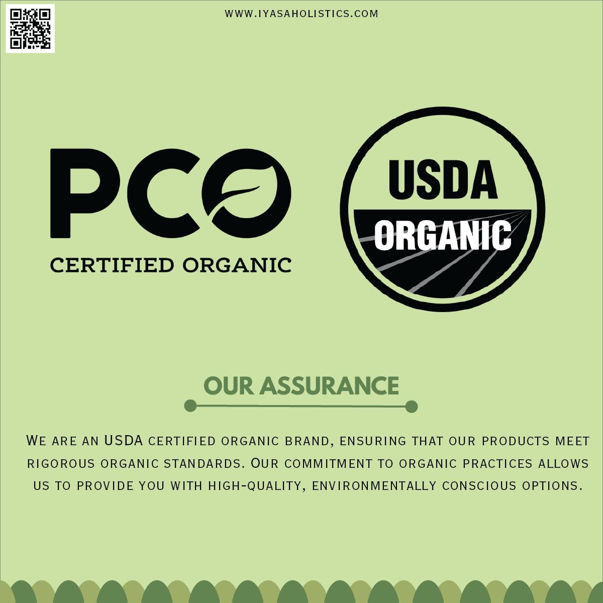 Iyasa Holistics Aloe Vera Leaf Powder stored in resealable pouch.