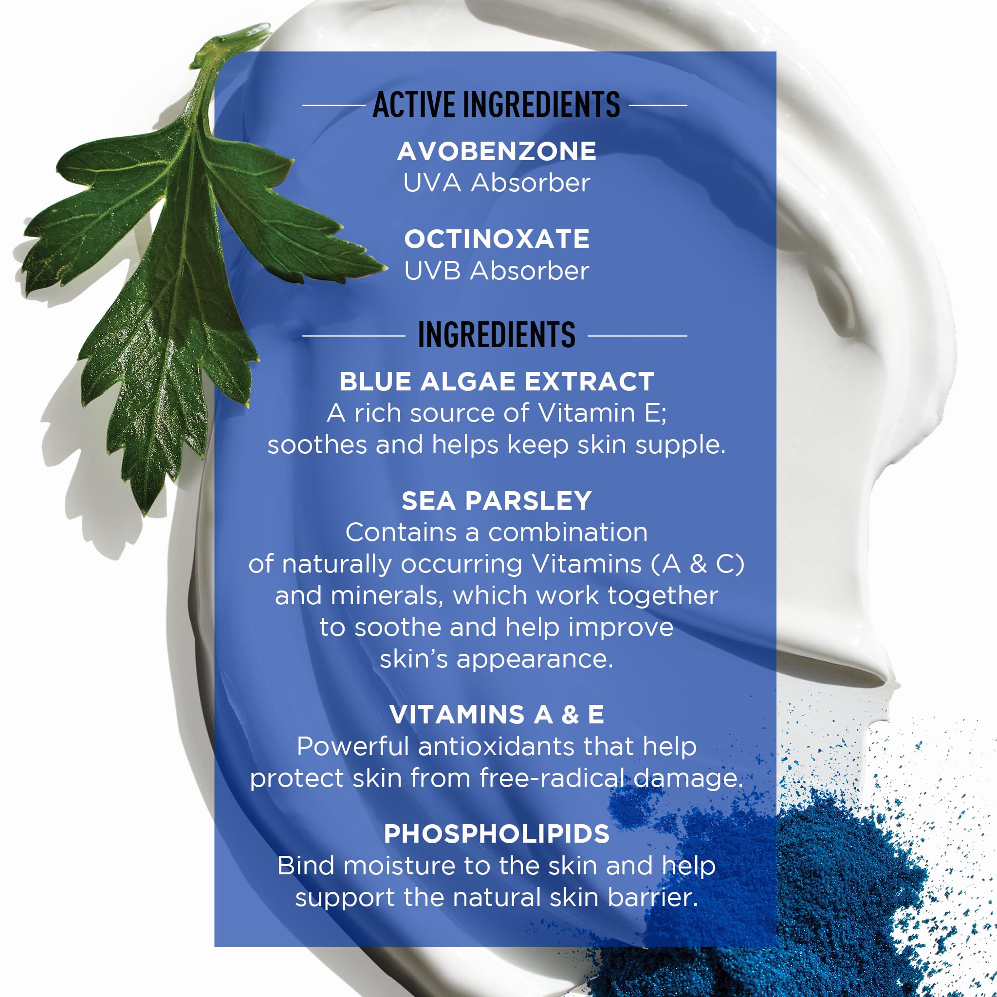 Jack Black Double-Duty Face Moisturizer blue algae ingredient highlighting Vitamin E benefits.